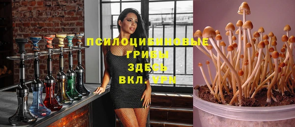 гидра Белокуриха