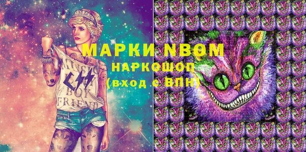 гидра Белокуриха