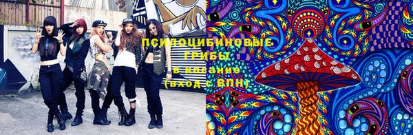 гидра Белокуриха
